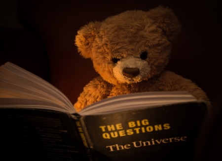 Teddy - doll, teddy, bear, read