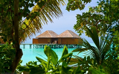 Cool Beach - trees, hut, ocean, beach