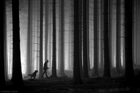 by Sebastian Luczywo - silence, nature, sebastian luczywo, photography, bw, forest, art