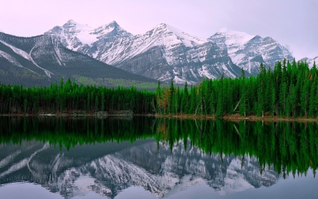 Lake Louise, Alberta, Canada - nature, lake, reflection, forest, mountains