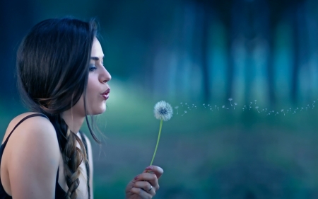 Blowing in the wind - girl, dandelion, wind, flower