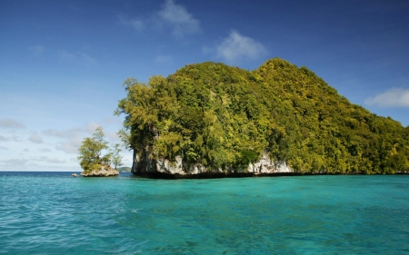 Island - island, water, ocean, tree