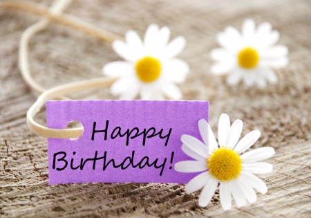 Happy Birthday! - yellow, wood, daisy, flower, pink, birthday, white, purple, card