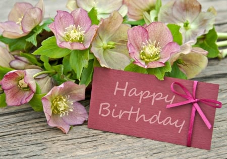 Happy Birthday! - card, flower, bow, pink, birthday, wood, green