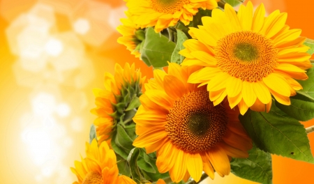 Sunflowers - bouquet, summer, yellow, petals