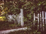 Fence