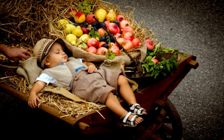 SLEEPING CUTENESS - sleeping, cute boy, stroller, fruits