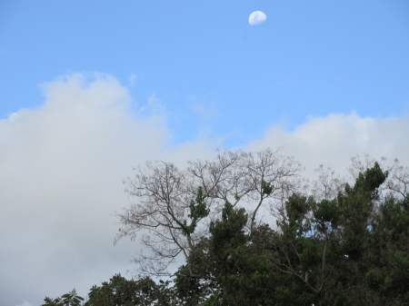 Moon - moon, sky, blue, clouds