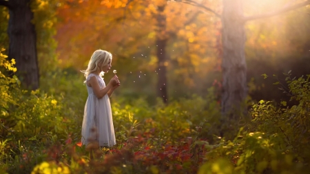 Transcendence - autumn, girl, child, white, forest, woods, dandelion, orange, green, transcendence, tree, dress, blonde, little