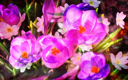 Crocuses - painting, crocus, art, pink, poster, spring, flower