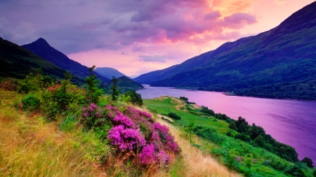 Mountain river - sky, hills, mountain, riverbank, colorful, shore, river, beautiful, wildflowers