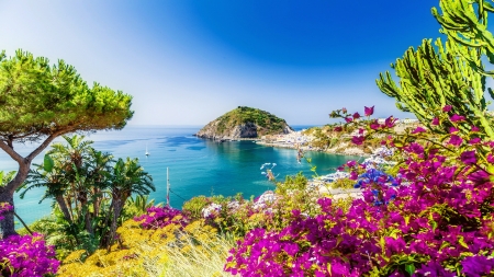 Ischia, Italy - summer, coast, vacation, beautiful, sea, island, rest, flowers, traves, shore, Italy, sky, rocks, bay