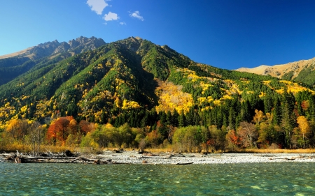 Autumn Forest - sky, autumn, lake, mountain, nature, fall, cloud, forest, tree