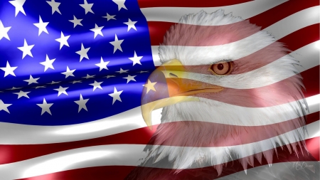 God Bless the USA - memorial day, american eagle, eagle, usa, independence day, red white and blue, freedom, patriotism, 4th of july, flag, america