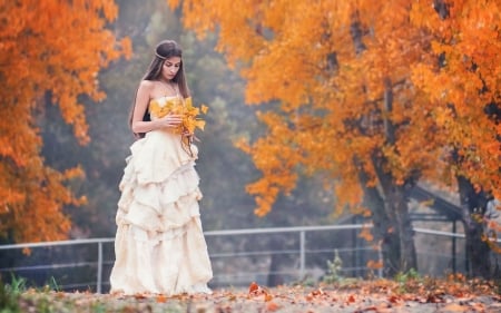 Girl looking at the leaves - woman, fall, autumn, girl, leaf