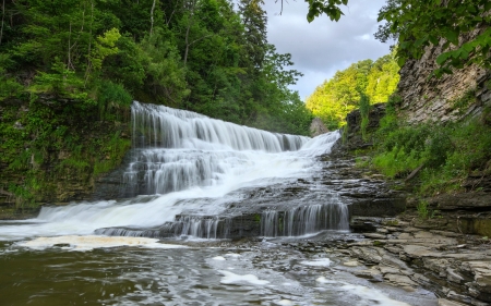 Forest Waterfall - nature, forest, waterfall, rocks