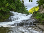 Forest Waterfall