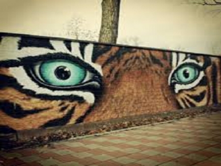 Tiger Grafitti - beauty, tiger, animals, grafitti