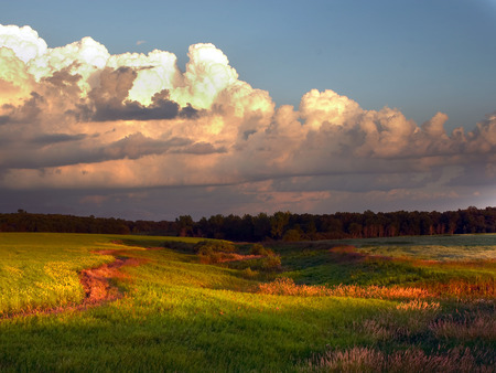 In the country - fields, grass, clouds, country