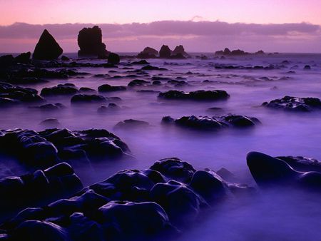 Rising Tide at Sunset New Zealand - sky, beach, landscape