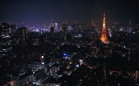 Tokyo - birds view, tokyo, at, landscape, night, night view