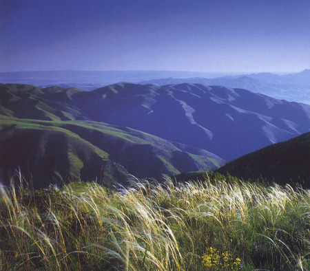 Kazakhstan Mountains - flowers, blue sky, grass, mountains, kazakhstan