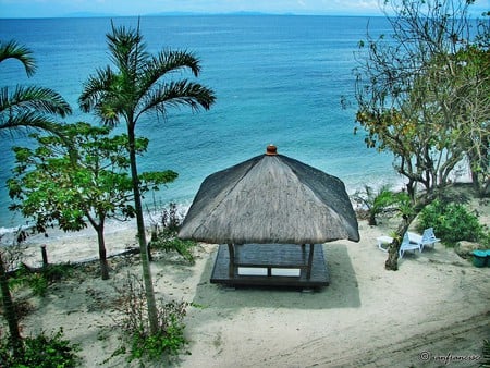 Tropical Hut - beach, palm trees, island, paradise, ocean, hut, holdiay