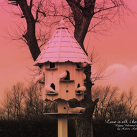 Bird House