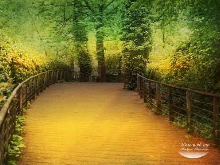 Bridge Walk - wooden bridge, sunshine, trees, forest