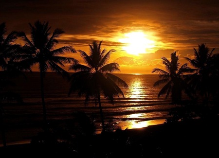 Sunset 2 - dusk, palms, ocean, beach