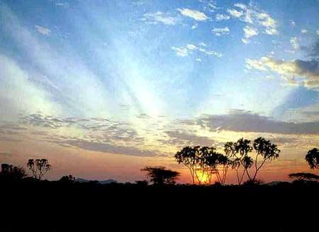 African Sunset - trees, sunset, land, sky