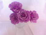 Purple roses