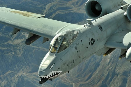 DONT MESS WITH ME !!!! - a10, thunderbolt, mean, warthog, jet