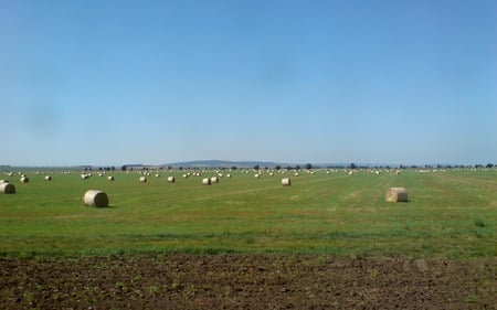 Straw Bales - field, czech republic, blue sky, straw bale