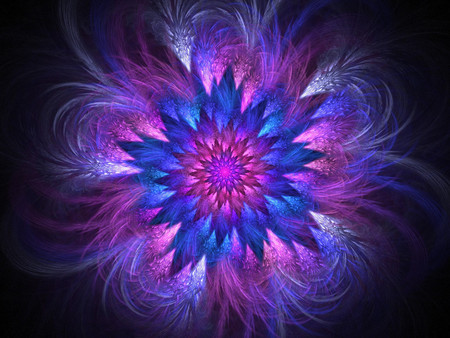 Flower - fractal, flower