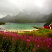 Wildflower Lake