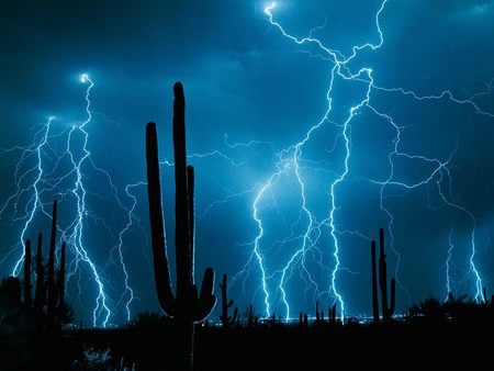 WEATHER - sky, forces, blue sky, fantasy, storm, cacti, dark, lighting, desert, deserts, lightening, cactus, night, 3dand cg, wallpaper, nature, abstract, blue, bluesky, lightning strikes, strike, force, lightning