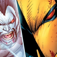 Deathstroke Vs Lobo