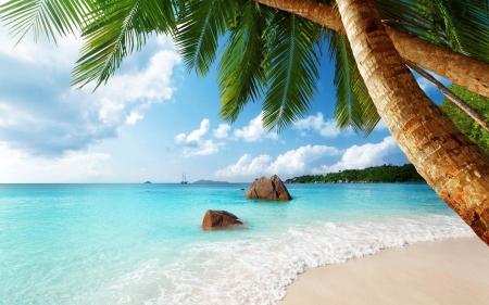 Eternal Summer - clouds, summer, beach, beautiful, sea, sand, Seychelles, islands, tropical, palm trees, paradise