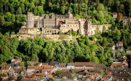 Heidelberg Castle, Germany - germany, forest, castle, medieval