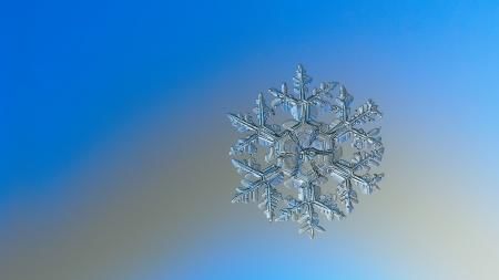 Snowflake - snow, abrstract, winter, snowflake