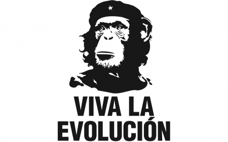 viva la evolucion - black and white, monkey, humor, funny