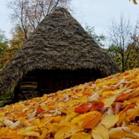 Autumn in Maramures