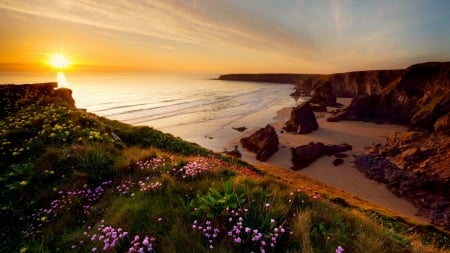 Sea sunset - rays, beach, sky, summer, shore, sunset, coast, rocks, waves, glow, view, beautiful, sea, wildflowers