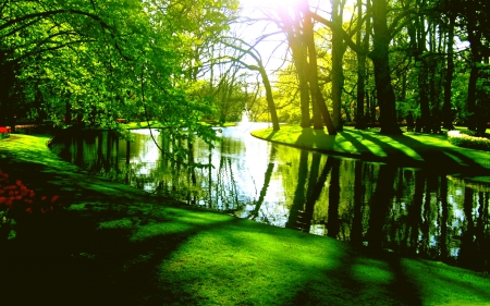 GREEN PARK - park, flowers, pond, spring