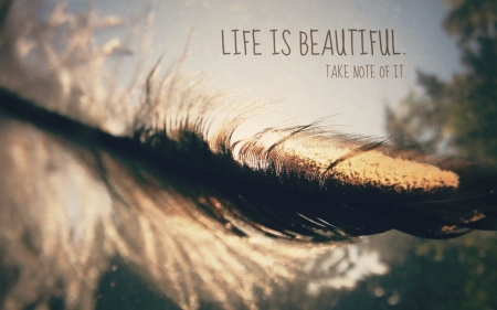 Life is Beautiful - is, life, beautiful, quote