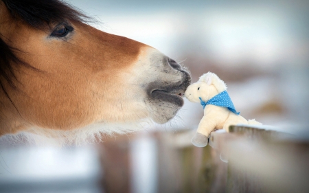 Kiss - tenderness, blue, brown, horse, toy, white, animal, poney, funny, kiss