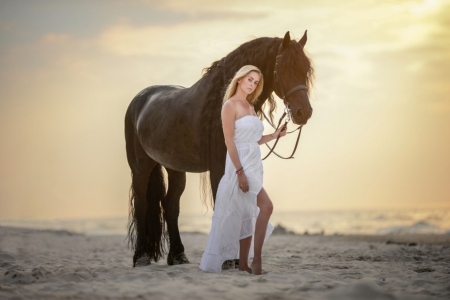 Friends - horse, friends, beautiful, sunset, girl