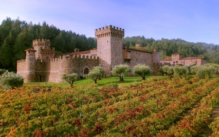 Castello di Amorosa, Tuscany, Italy - grapes, italy, castle, medieval