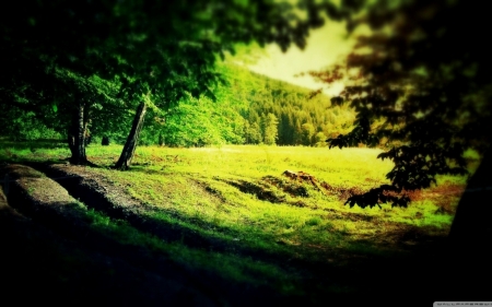 Green Nature - nature, green, landscape, trees